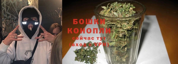 индика Гвардейск