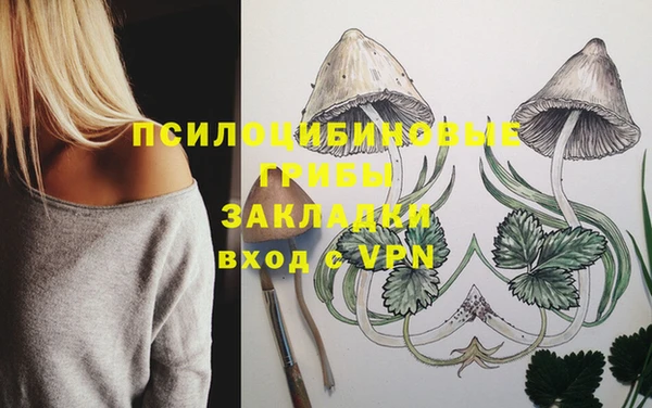 спиды Вуктыл